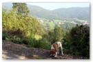 Annis Heimat mit Blick ins Graflinger Tal