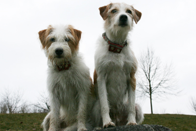 Anni und Lotti