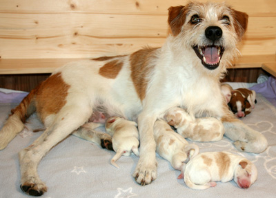 Familienfoto