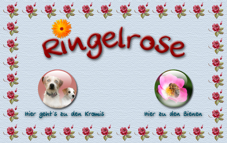 Logo Ringelrose mit Links